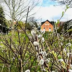 Zur Alten Tischlerei