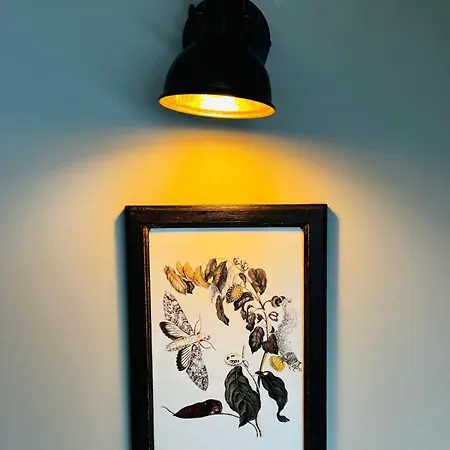 Apartamento Zur Alten Tischlerei Dissen (Spree-Neisse)