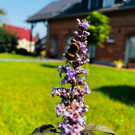 Zur Alten Tischlerei *