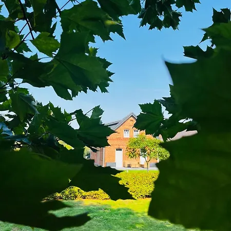 Appartement Zur Alten Tischlerei Dissen (Spree-Neisse)