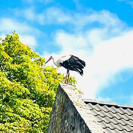 아파트 Zur Alten Tischlerei *