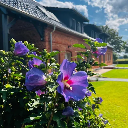 Zur Alten Tischlerei Apartamento