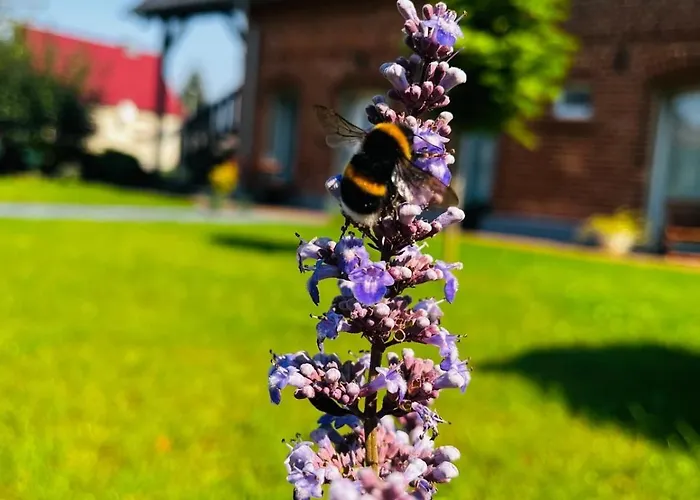 Zur Alten Tischlerei *