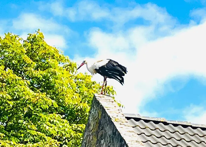 Apartment Zur Alten Tischlerei *