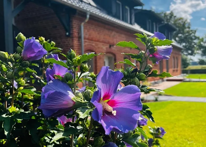 Zur Alten Tischlerei Apartment